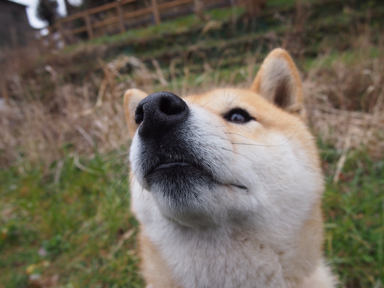 开yun官网-【大都会守住领跑位置】DeGrom投出七局无失分,大都会七期  第2张 开yun官网-【大都会守住领跑位置】DeGrom投出七局无失分,大都会七期  第2张