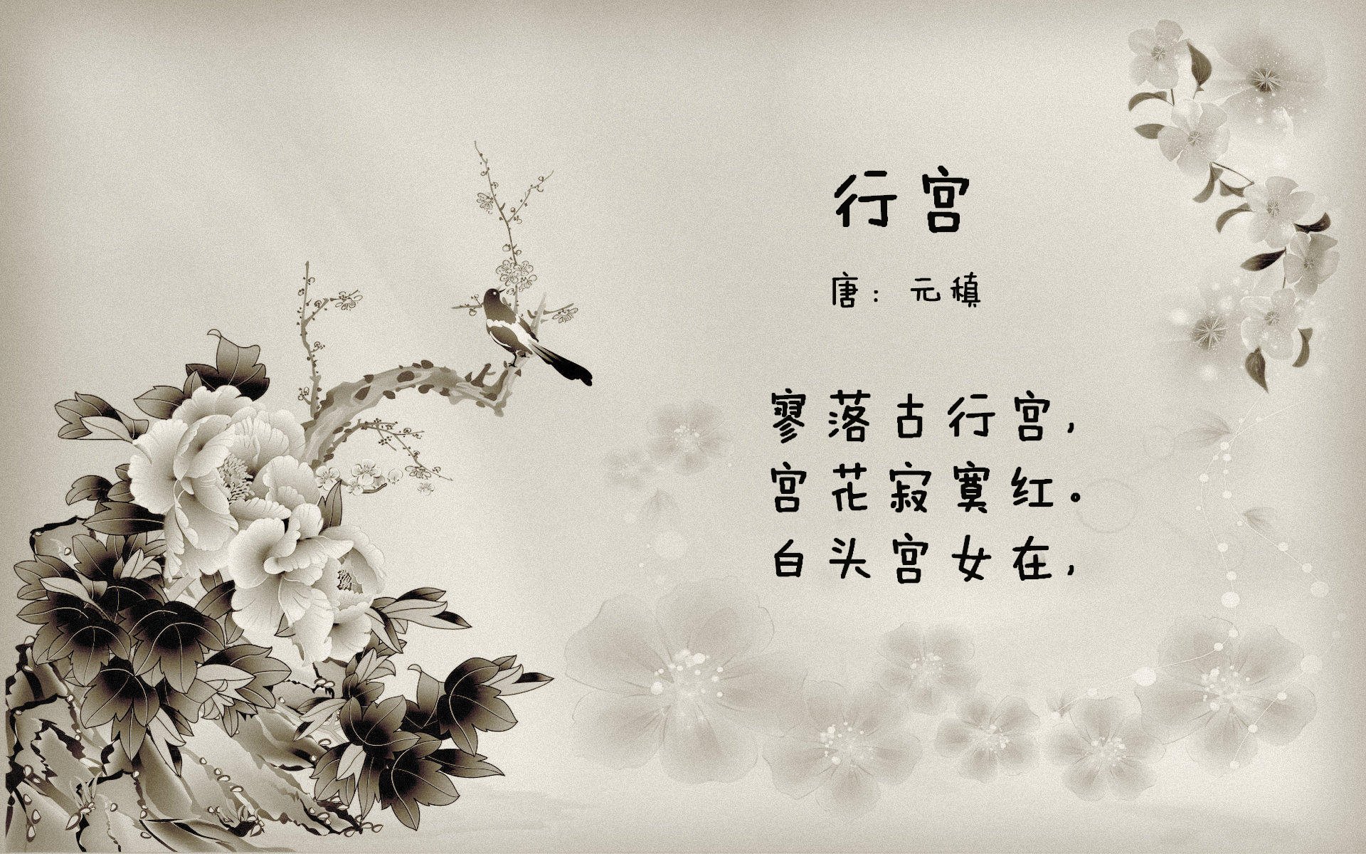 开云网址入口-_森林冒险跑:运动与自然的完美融合_,森林 跑步