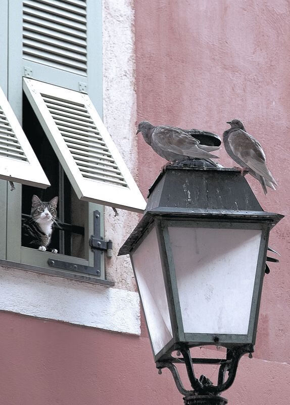 开云体育官网下载安装-国际水上摩托赛，掀起水上激情浪潮，国际水上摩托公开赛