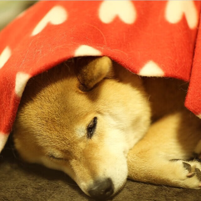 开云体育官方下载-摩洛哥队在巴黎奥运会男足比赛中表现出色，赢得铜牌，摩洛哥著名足球运动员