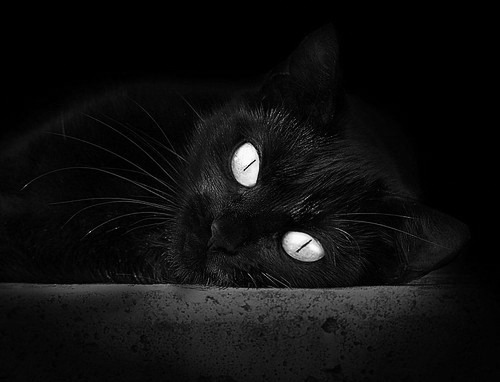 开yun官网-摩洛哥队在巴黎奥运会男足比赛中表现出色，赢得奖项，摩洛哥男足世界排名